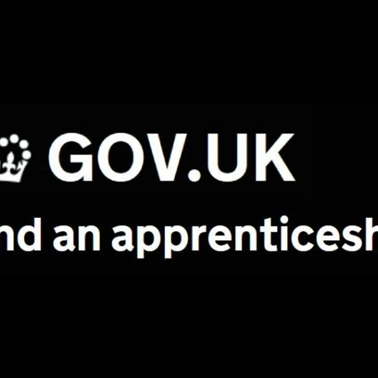 UK Government Apprenticeships vacancy