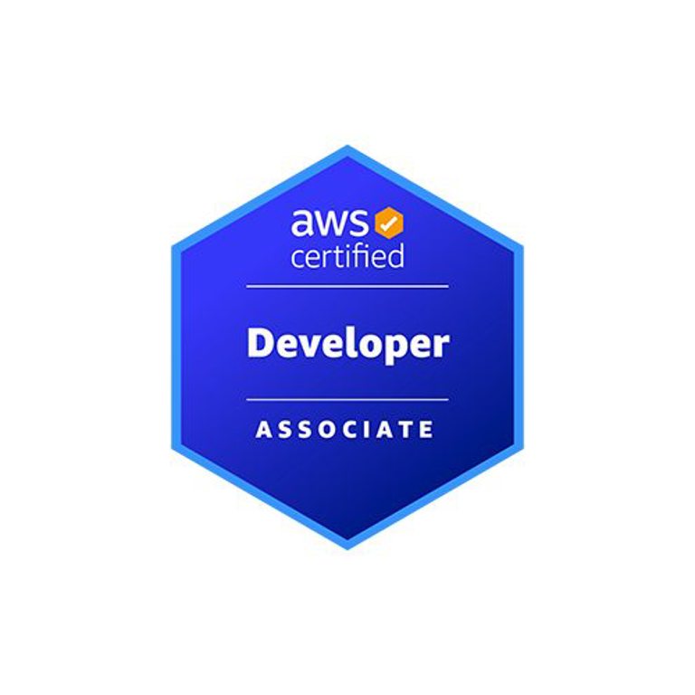 AWS Developer logo