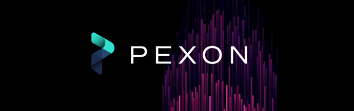PEXON Consulting Firebrand